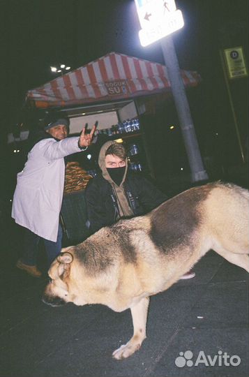 Пленочный фотоаппарат kodak ef