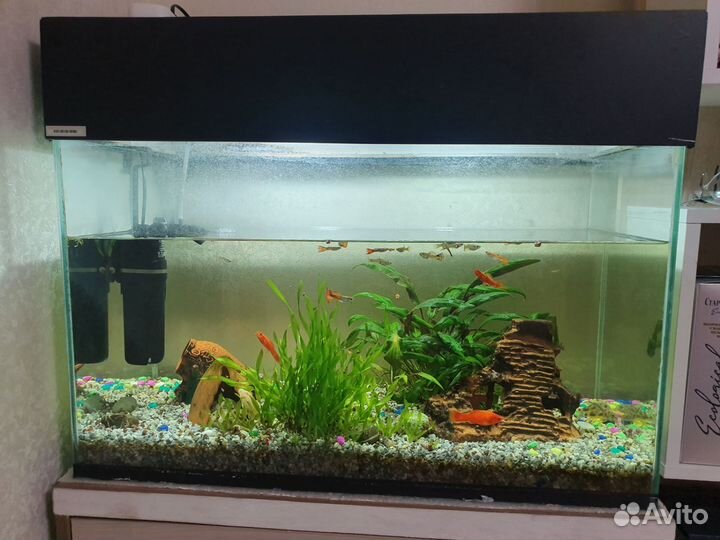 Аквариум с рыбками