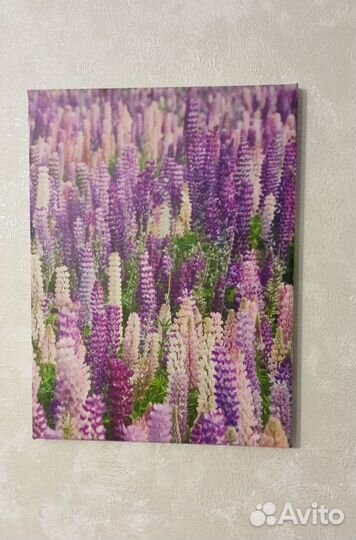 Три картины на холсте Лаванда