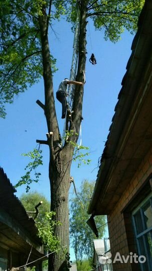 Расчистка участков