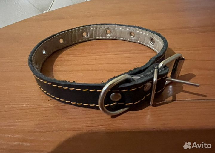 Ошейник для собак