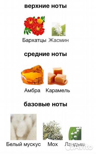 Floral Musk Attar Collection