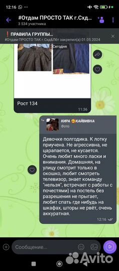 Черная кошка