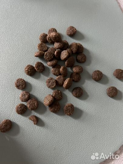 Корм для собак farmina