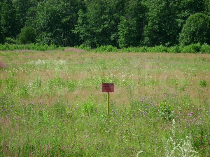 Участок 165 га (СНТ, ДНП)