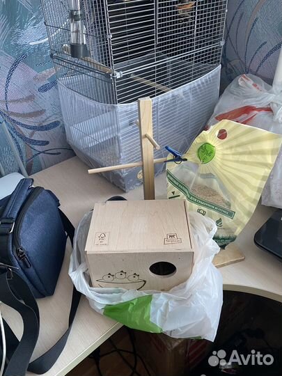 Клетка с волнистыми попугаями