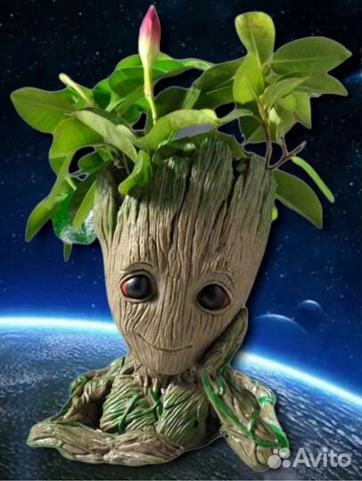 Кашпо Грут. Цветочный горшок