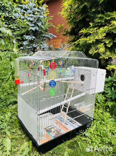 Волнистые попугаи с клеткой
