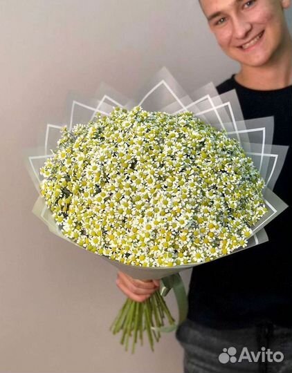 Доставка цветов. Ромашки