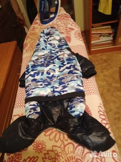 Одежда для маленьких собак м