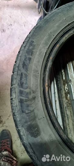Tigar Winter 205/55 R16