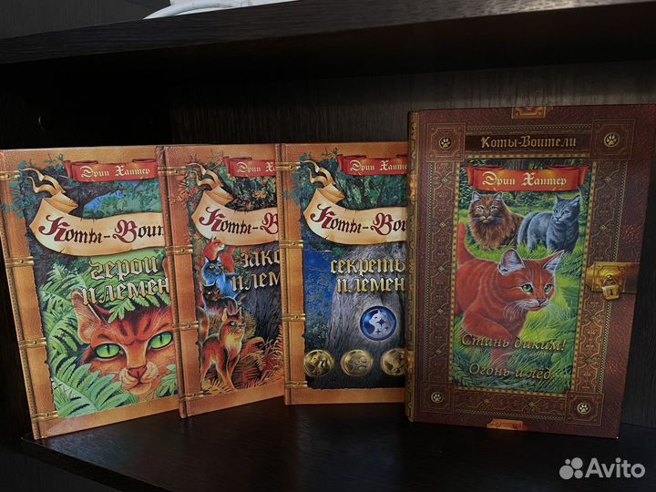 Коты воители