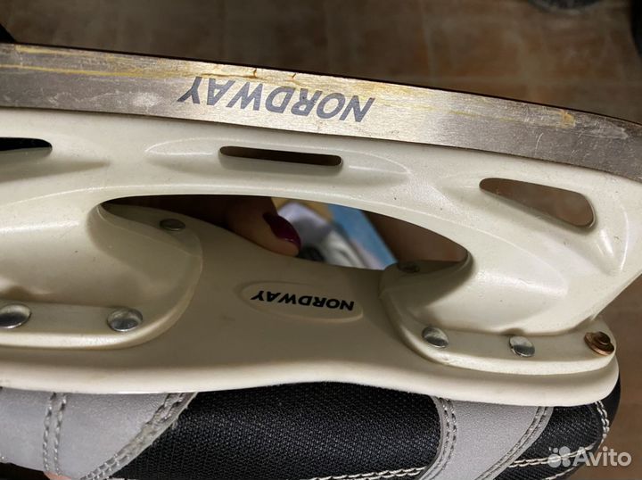 Коньки nordway Boston