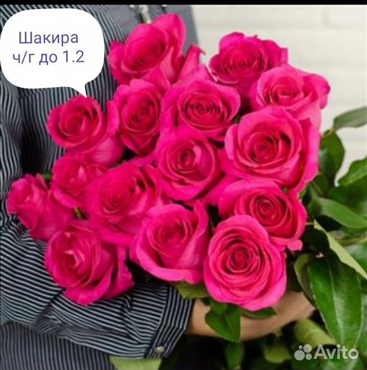 Розы