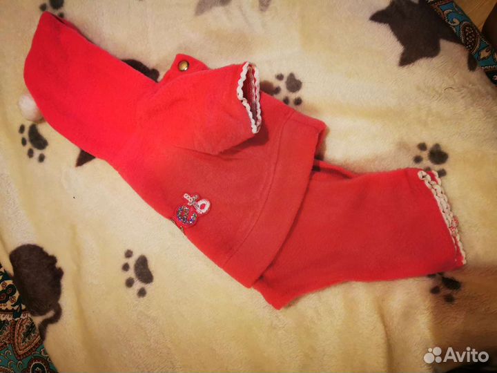 Одежда для маленьких собак бу