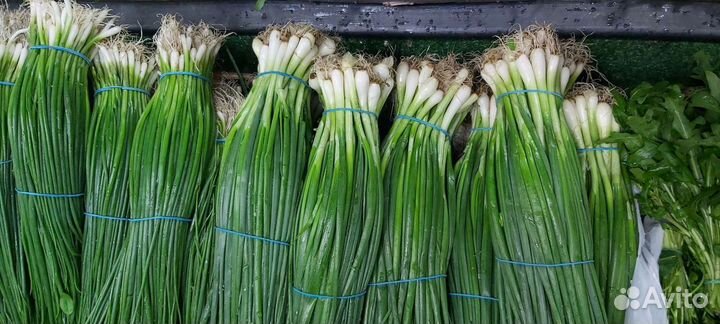 Свежая зелень в ассортименте