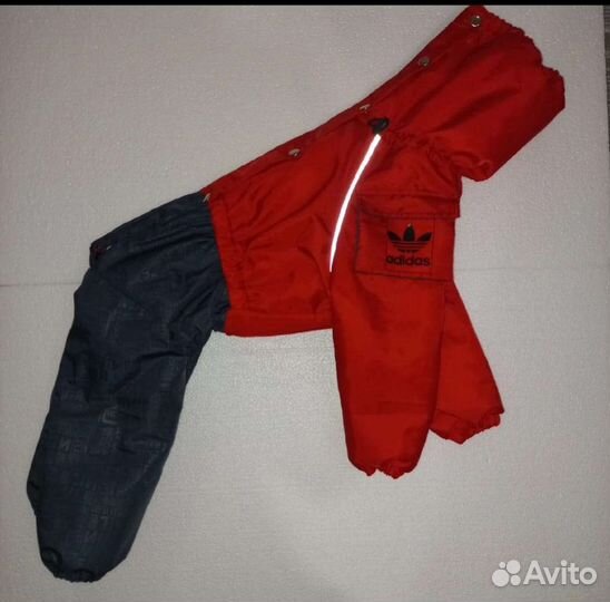 Одежда для собак