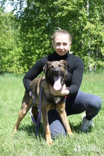 Собака в добрые руки, Дружок