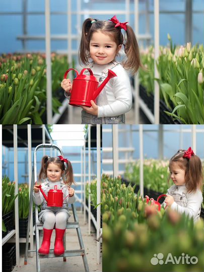 Фотограф начинающий