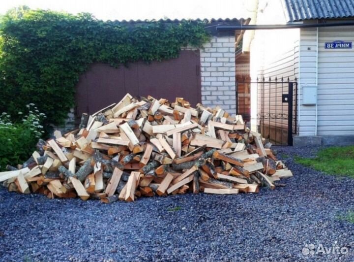 Дрова береза