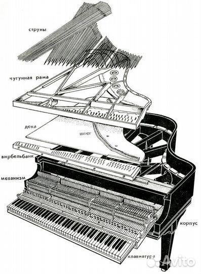 Пианино, рояль настройка, ремонт
