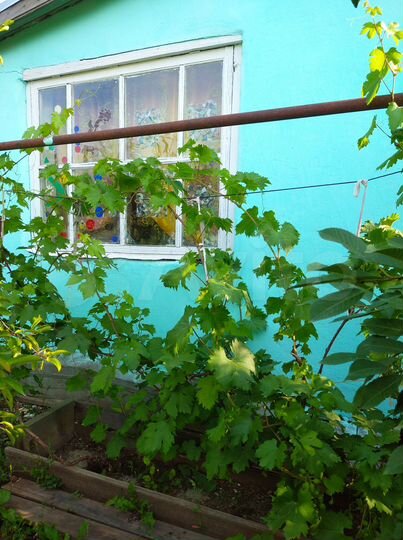 Дача 16,7 м² на участке 6 сот.