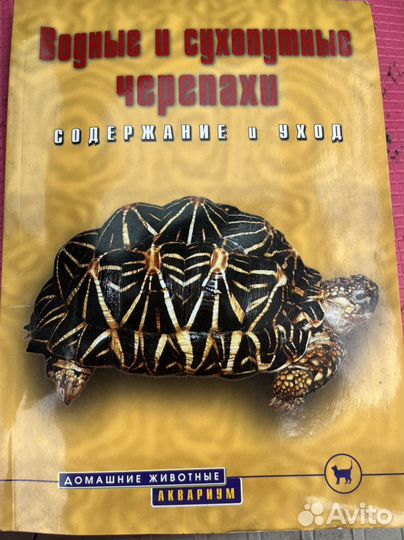 Черепашка с аквариумом