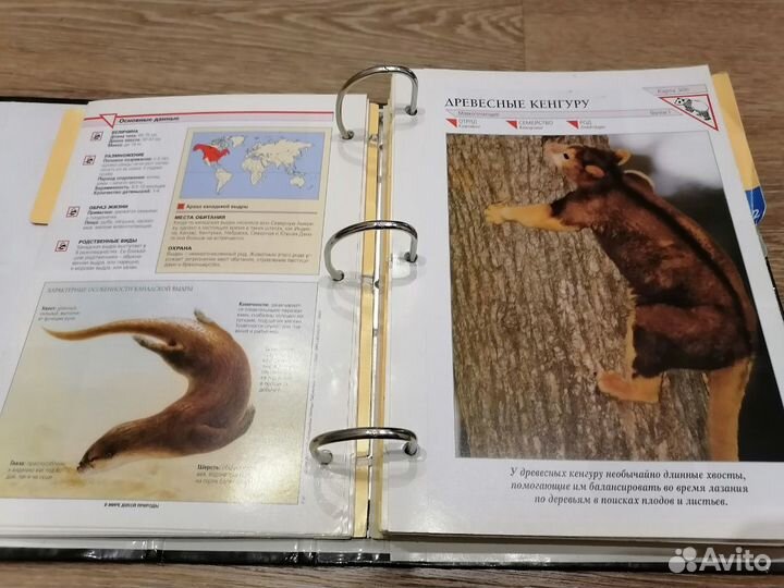 Справочник-энциклопедия 