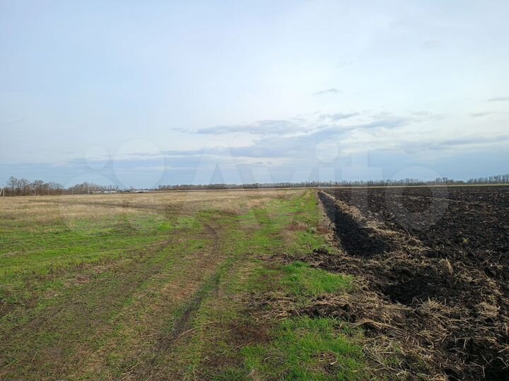 Участок 2 га (ИЖС)