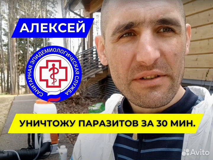 Уничтожение тараканов