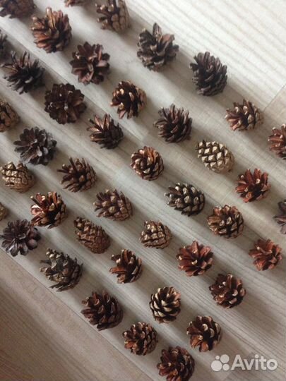 Шишки сосновые д/поделок,декора,дизайна
