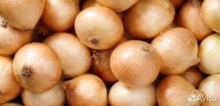 Коробка для лука