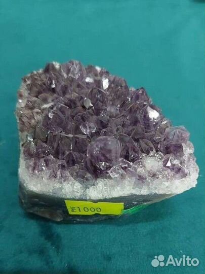 Друза аметиста