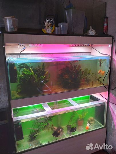 Аквариумы на стойке