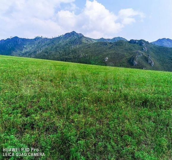 Участок 60 сот. (ИЖС)