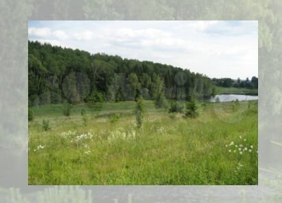 Участок 7,97 га (СНТ, ДНП)