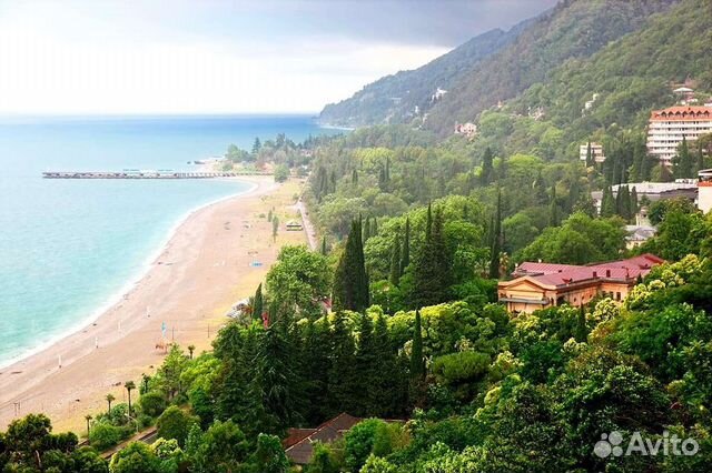 Отдых в Гаграх