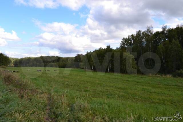 Участок 4 га (СНТ, ДНП)