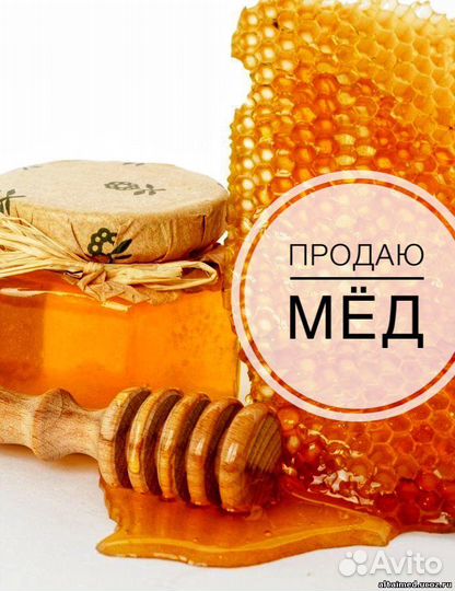 Продаю мед