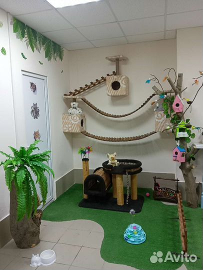 Зоогостиница 