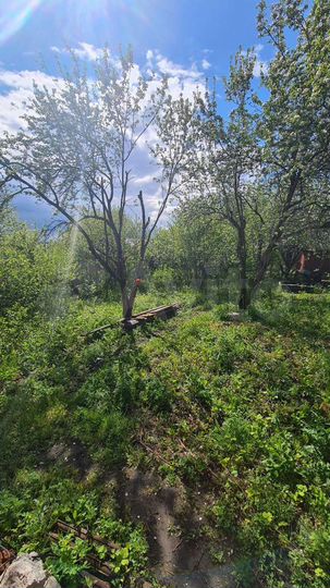 Дача 40 м² на участке 6 сот.