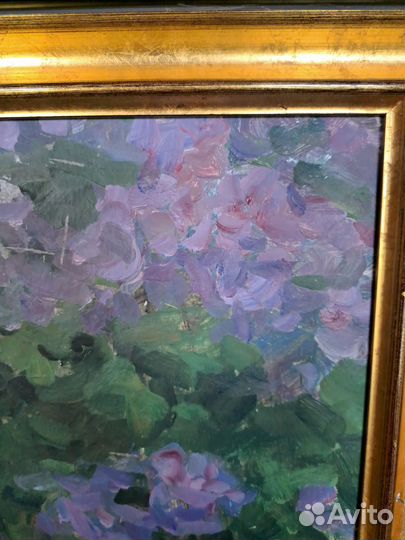 Сергеев Н.С. 1969