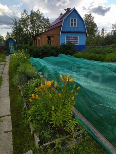 Дача 40 м² на участке 12 сот.