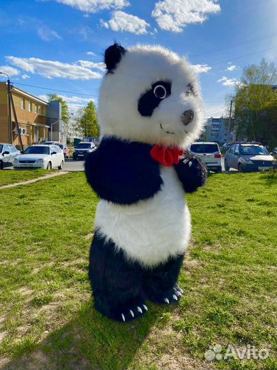 Панда 2 метра