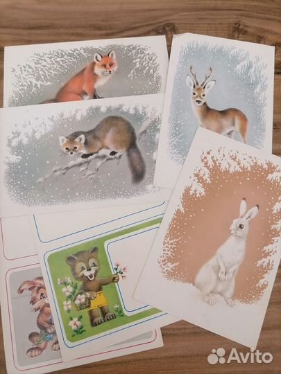 Открытки СССР 54-89 г.г