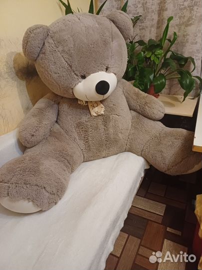 Плюшевый медведь