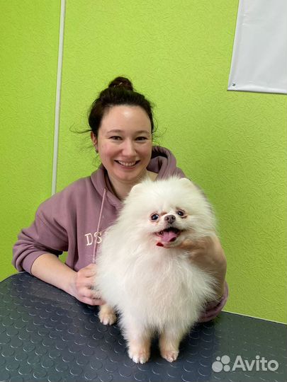 Грумер стрижка собак