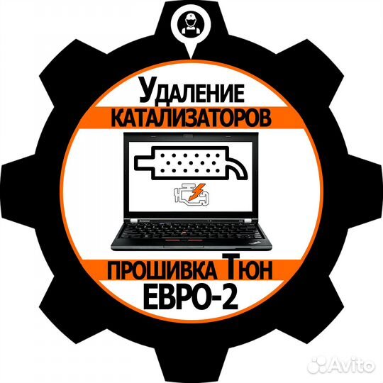Качественное удаление катализаторов+прошивка евро2