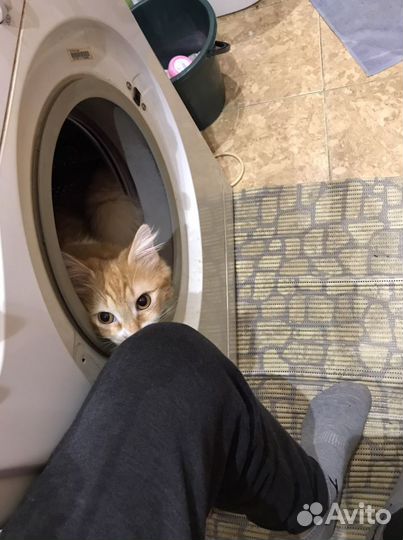 Ремонт баков