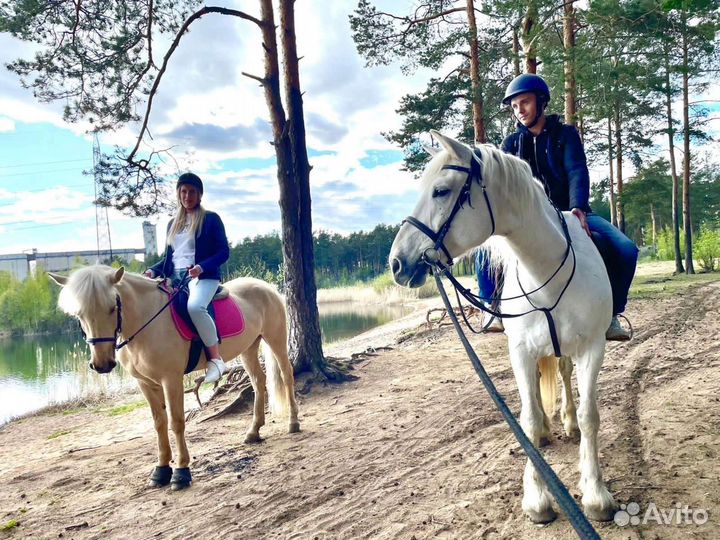 Прогулки на лошадях